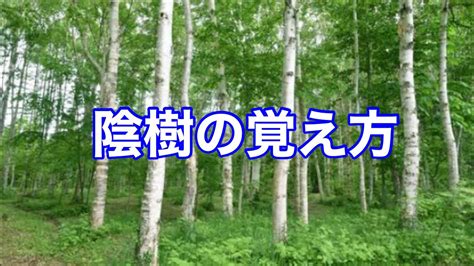 陰樹 種類|陰樹と陽樹の違いと代表的な樹木 